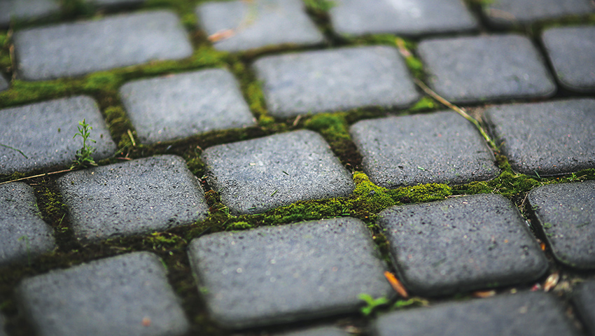Repenser l’écosystème urbain