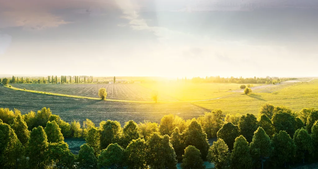 Dynamiques territoriales du Centre-Val de Loire