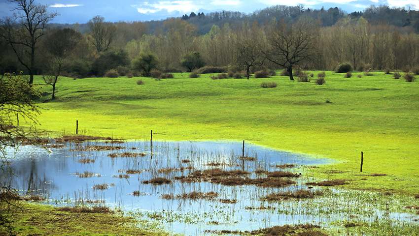 Une meilleure appréhension des zones humides en urbanisme