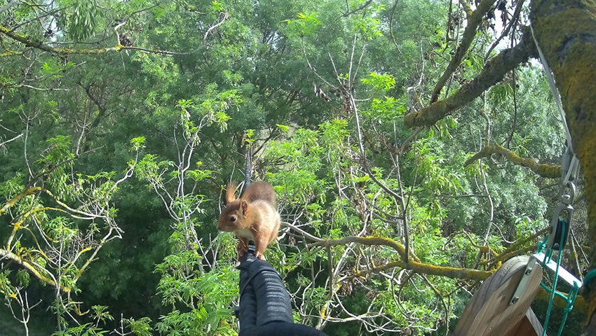 Agir pour la sauvegarde de la faune sauvage