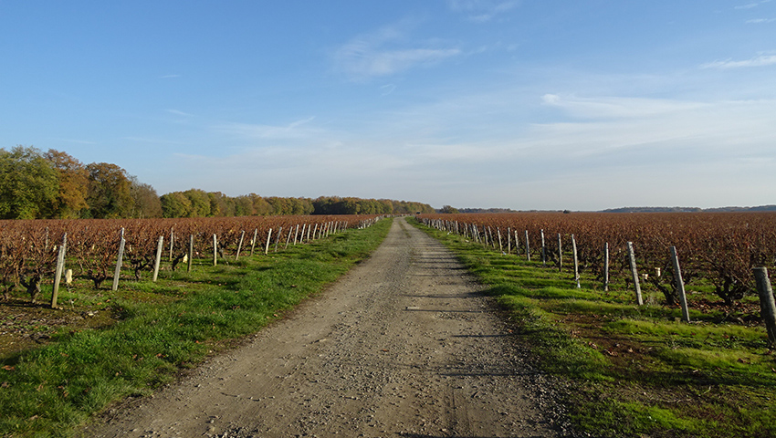Conférence régionale des SCoT du Centre-Val de Loire